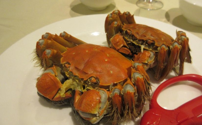 Shanghai Hairy Crab